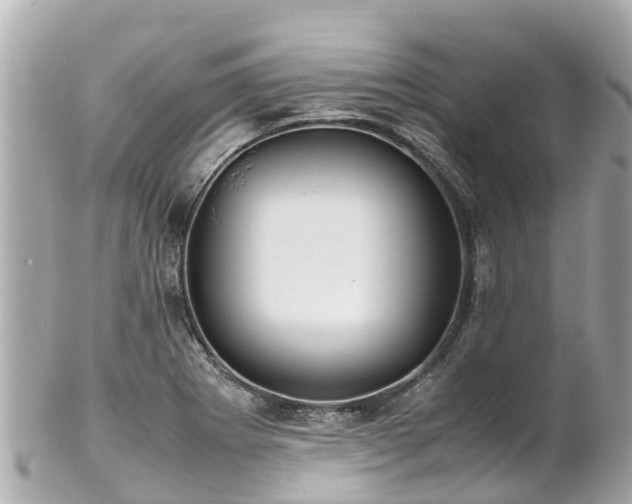 X0000102511273200808151537