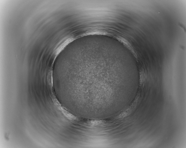 X0000102511274200808151537