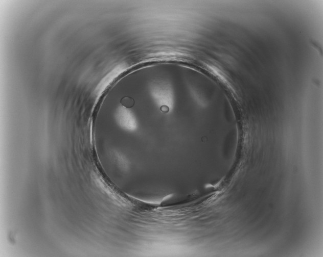 X0000102511275200808151537