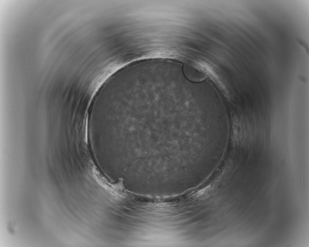 X0000102511276200808151537