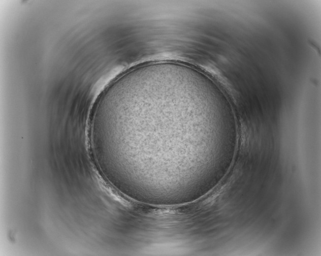 X0000102511278200808151537