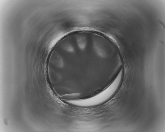 X0000102511279200808151537