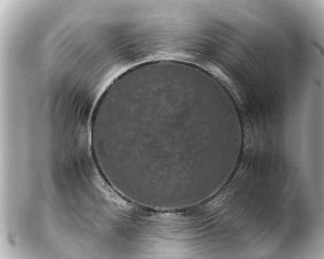 X0000102511280200808151537