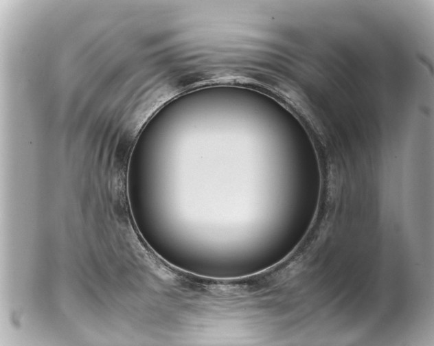 X0000102511281200808151537