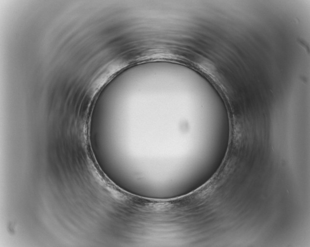 X0000102511282200808151537