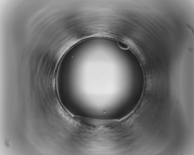 X0000102511284200808151537