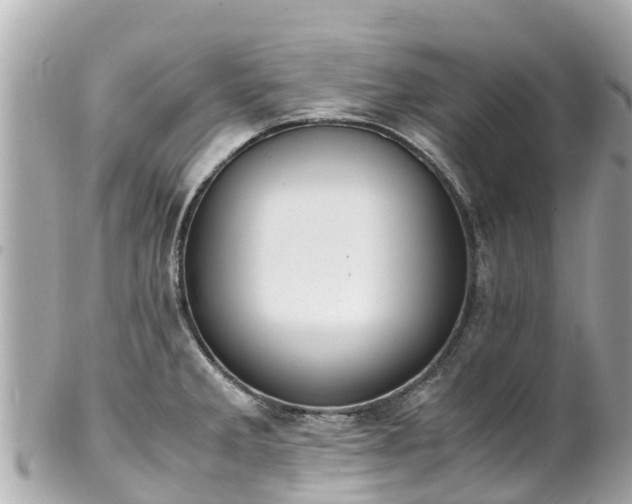 X0000102511285200808151537