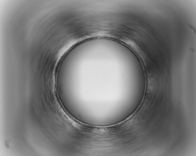 X0000102511286200808151537