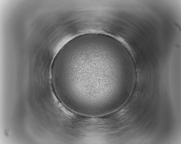 X0000102511287200808151537