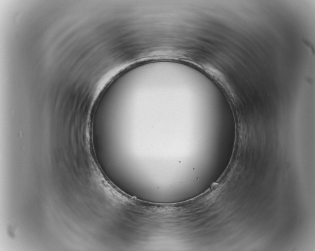 X0000102511288200808151537