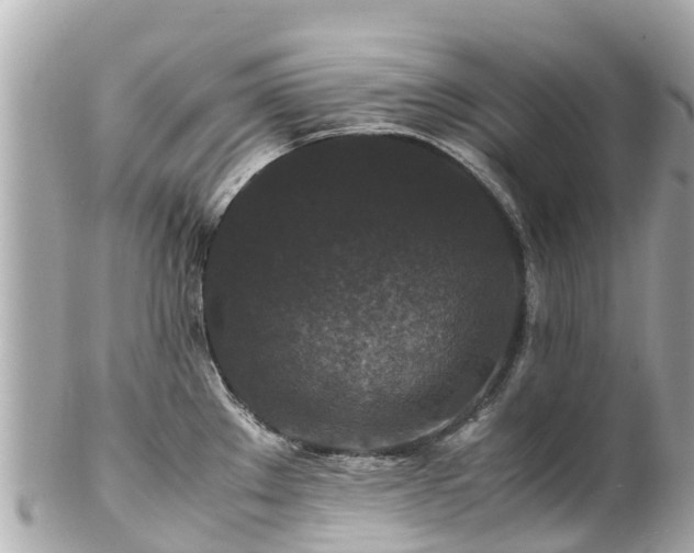 X0000102511289200808151537