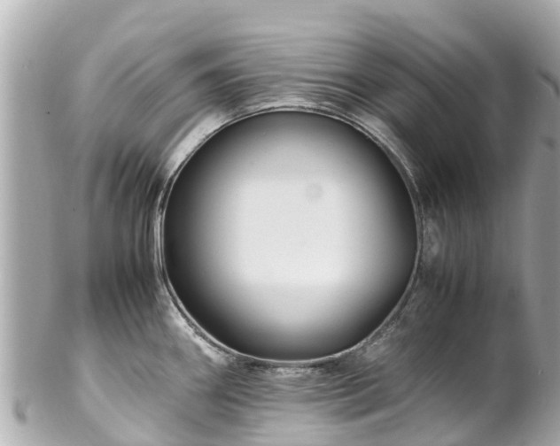 X0000102511290200808151537