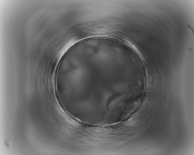 X0000102511291200808151537