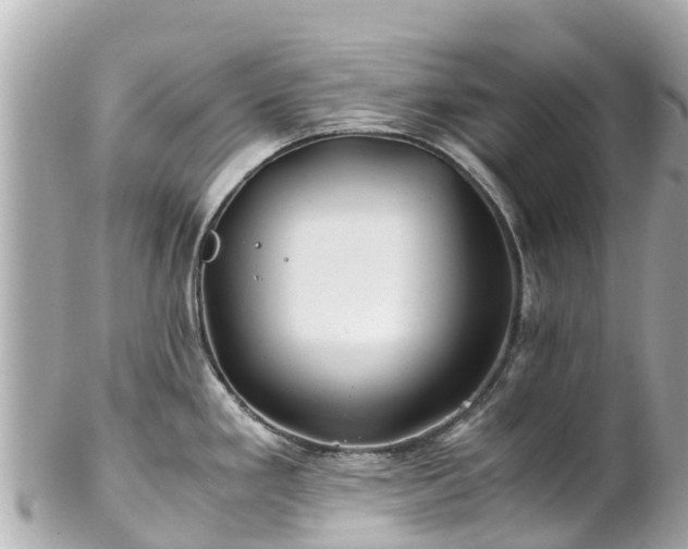 X0000102511293200808151537