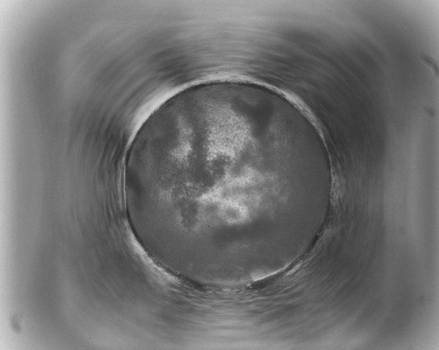X0000102511295200808151537