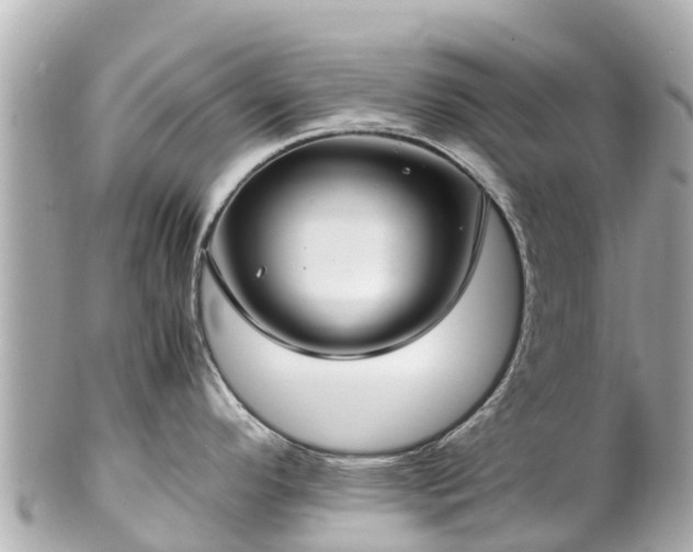 X0000102511296200808151537