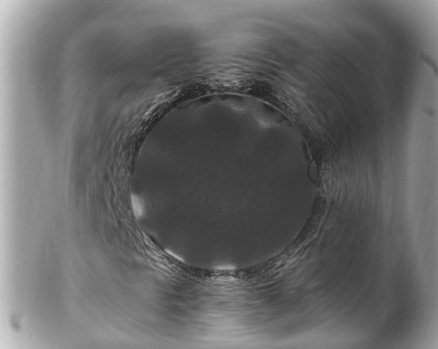X0000102511297200808151536