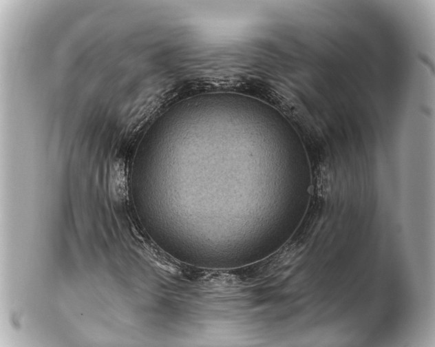X0000102511298200808151536