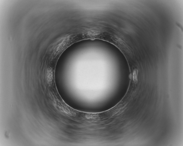 X0000102511299200808151536