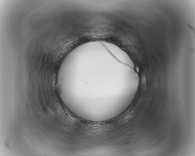 X0000102511300200808151536