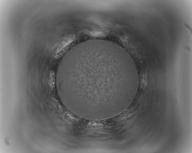 X0000102511301200808151536