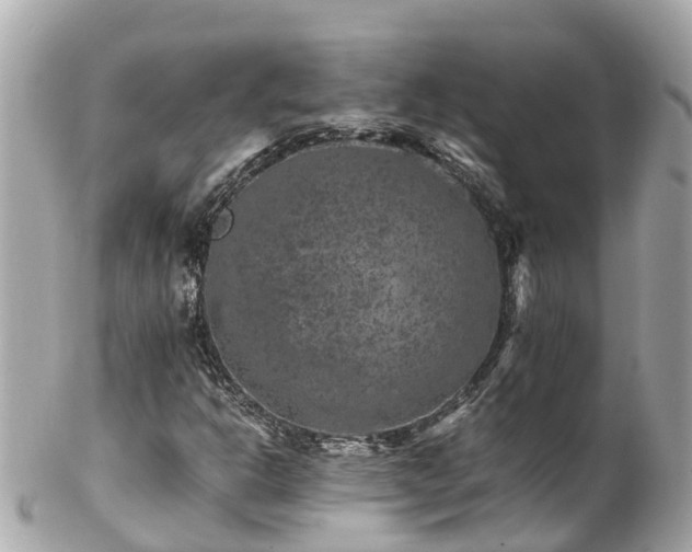 X0000102511302200808151536