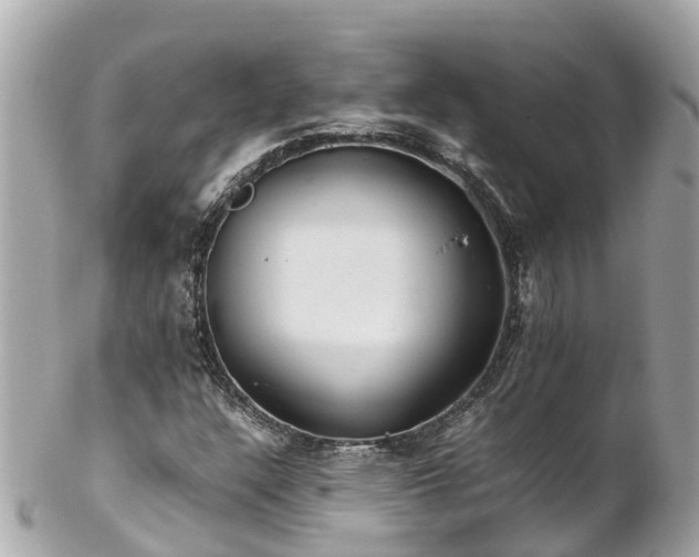 X0000102511304200808151536