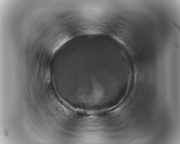 X0000102511306200808151536