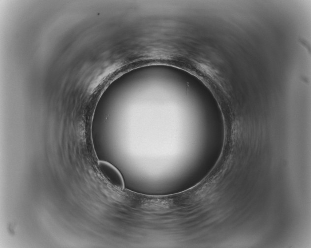 X0000102511307200808151536