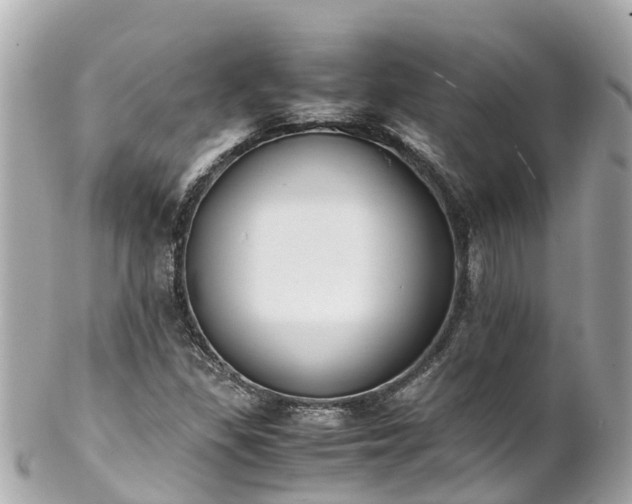 X0000102511309200808151536