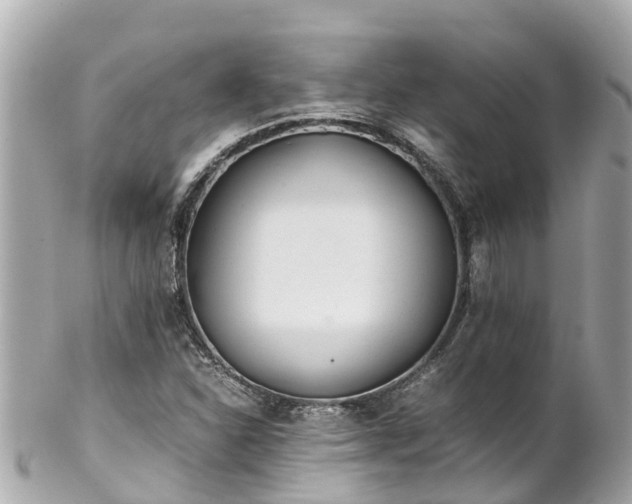 X0000102511310200808151536