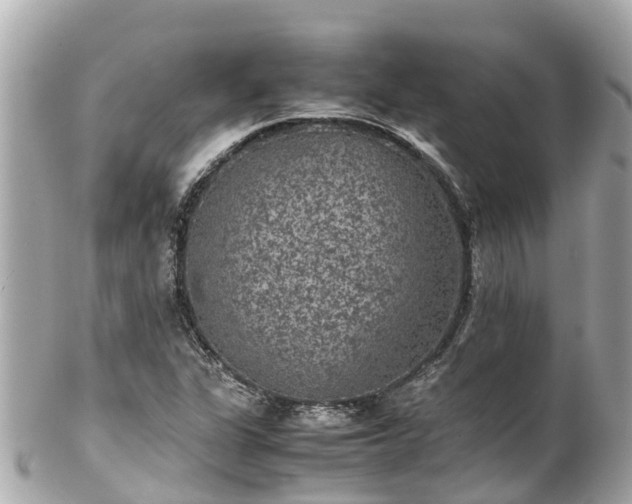 X0000102511311200808151536