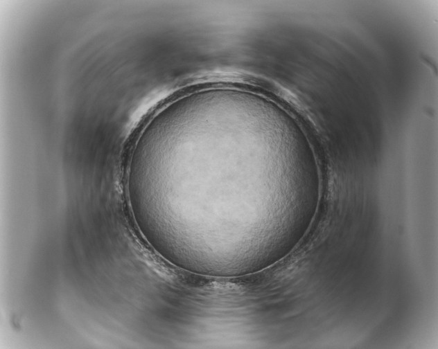 X0000102511312200808151536