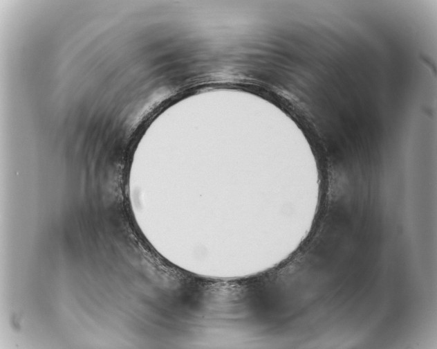 X0000102511314200808151536