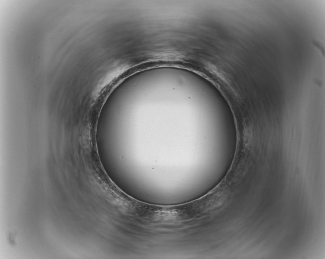 X0000102511315200808151536