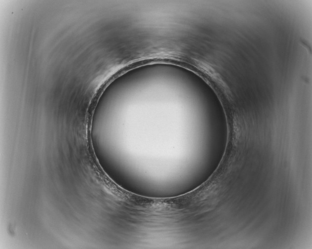 X0000102511316200808151536