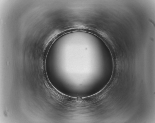 X0000102511318200808151536