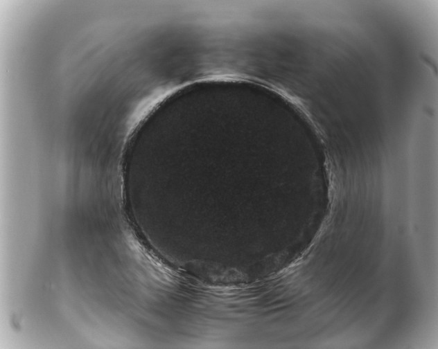 X0000102511319200808151536