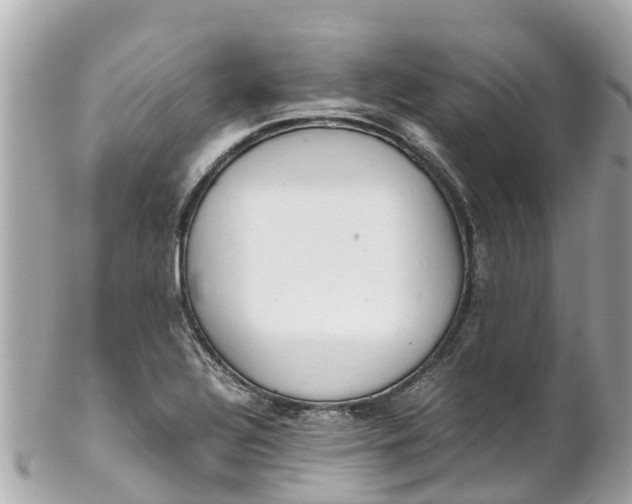 X0000102511320200808151536
