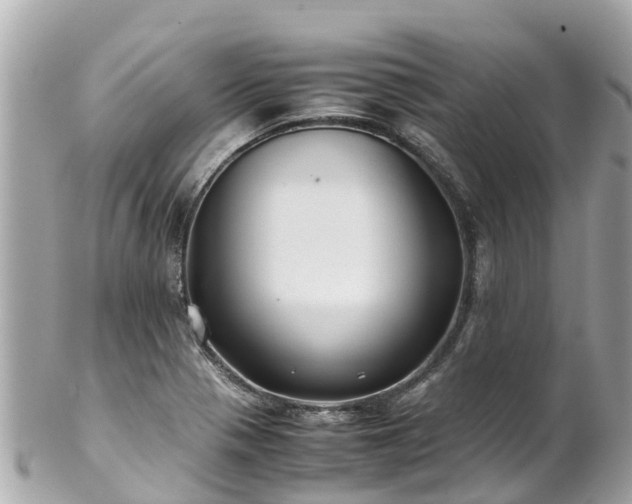 X0000102511321200808151536