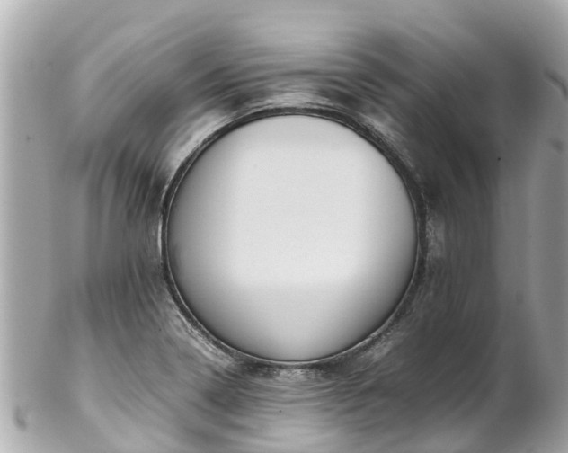 X0000102511322200808151536