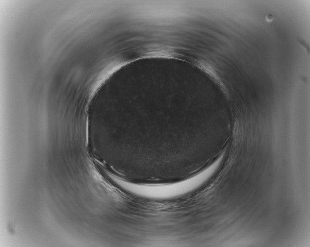X0000102511323200808151536