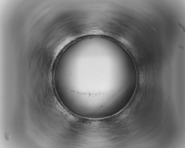 X0000102511326200808151537