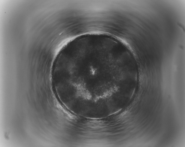 X0000102511327200808151537