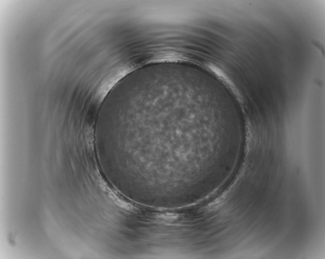 X0000102511329200808151537