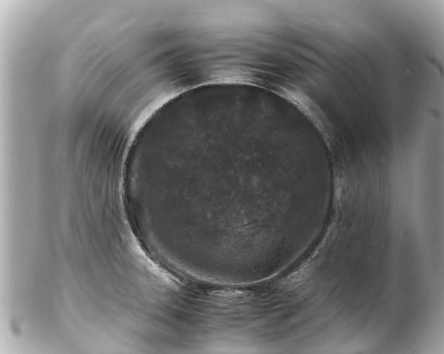 X0000102511331200808151537