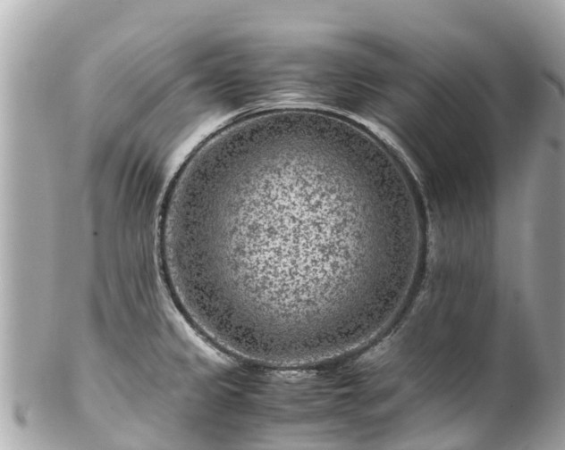 X0000102511333200808151537