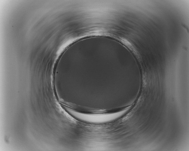 X0000102511334200808151537