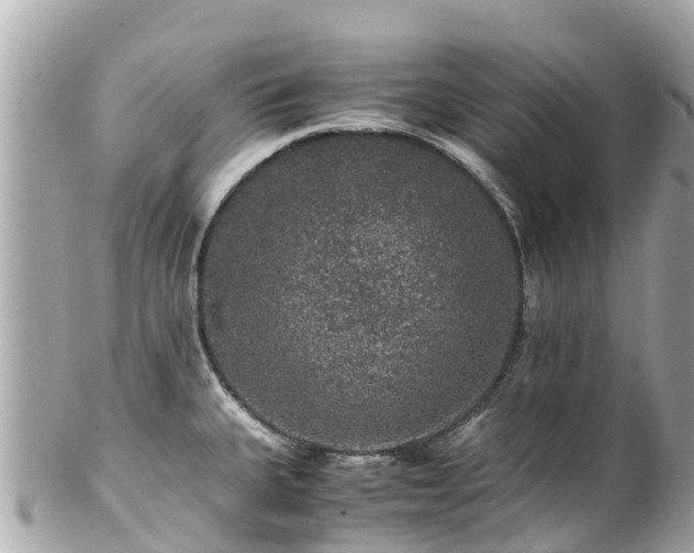 X0000102511335200808151537