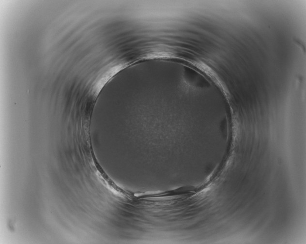 X0000102511337200808151537